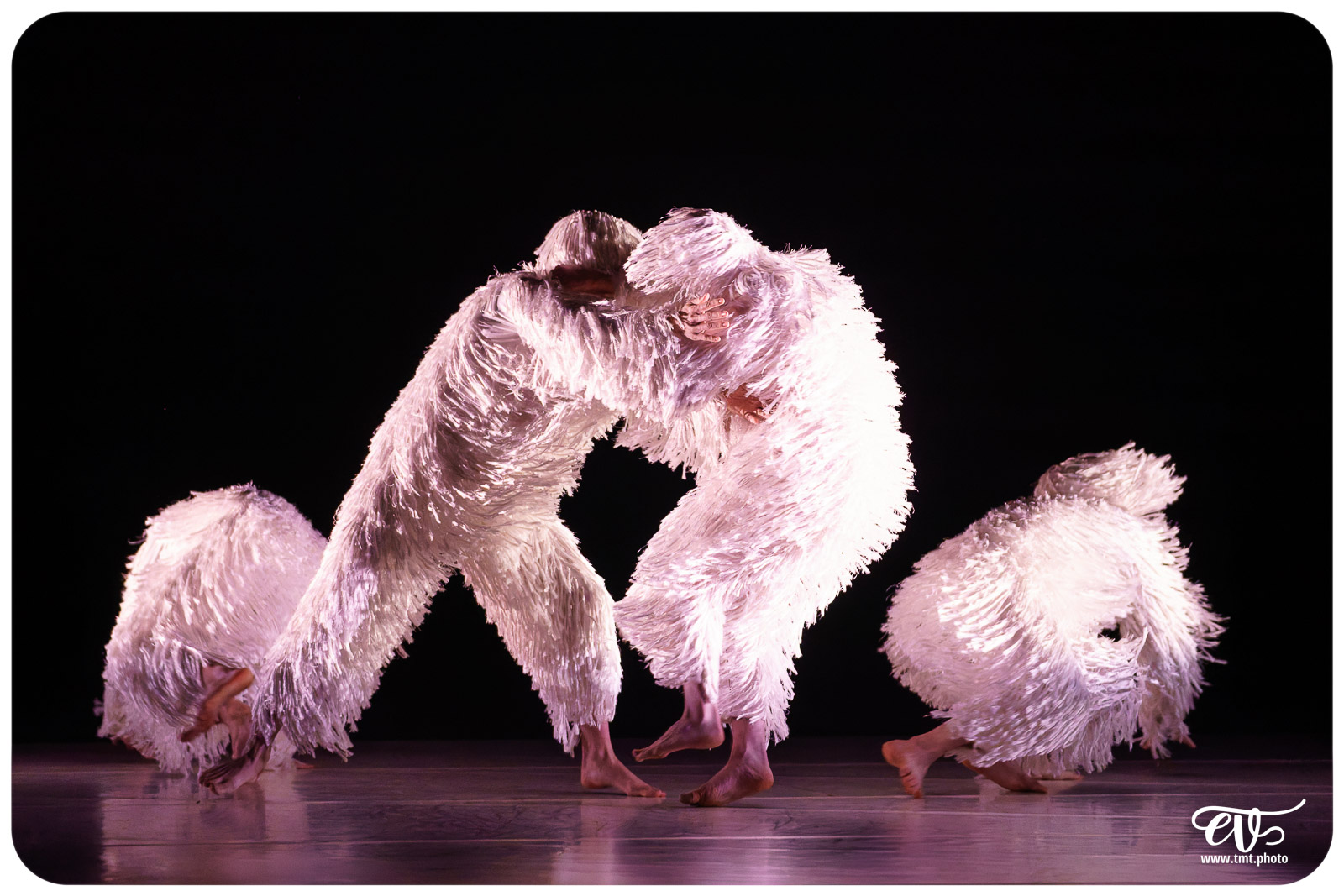 A4 (COMME LA FEUILLE) CIE CHICOS MAMBO